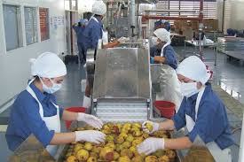 Ingeniería en Alimentos